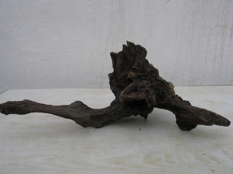 IMG 8806