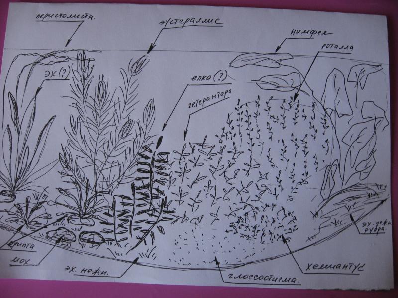 user4575 pic4421 1240218997