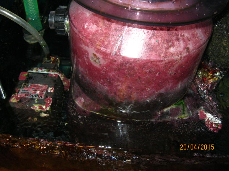  Atman SK-388, AF-2300,  