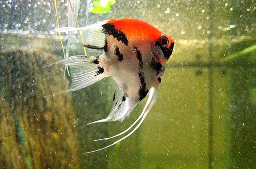 0 5060b 44d3791c  1 L