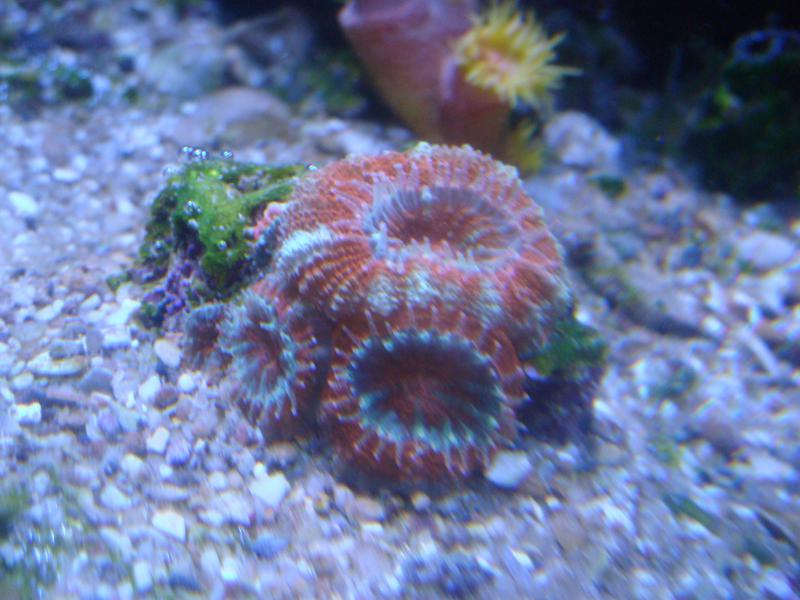    3           .   8 .
