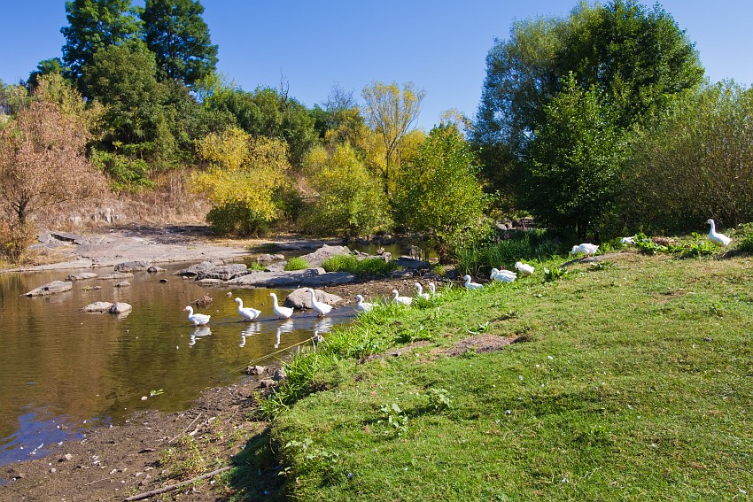 Riv river, Brayiliv