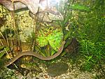 IMG 4457