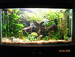IMG 0254