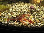 IMG 5055