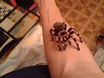 2012 03 28 21.43.37