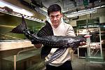 acanthicus adonis adulte (   ) :)