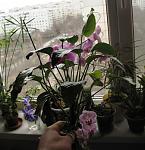 IMG 7596