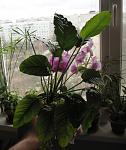IMG 7595