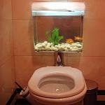 unusual aquariums 21