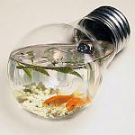 unusual aquariums 05