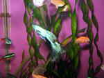 IMG 6890