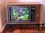 new aquarium14