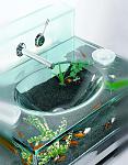 new aquarium12