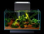 fluval edge jungle1
