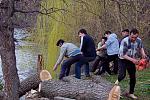 IMG 4454