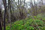 IMG 4396