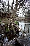 IMG 4420