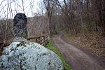 IMG 4359