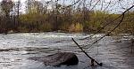 IMG 4428