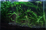 aquaOKSANA   7L