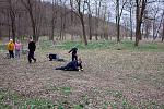 IMG 4589