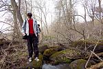 IMG 4432