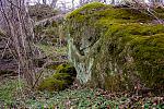 IMG 4393