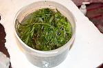 IMG 4689