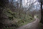 IMG 4366