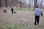 IMG 4584