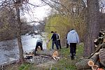 IMG 4451