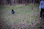 IMG 4565