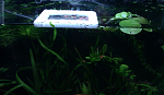 aquaOKSANA   7L 3