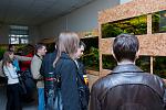 IMG 7621