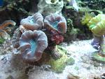 IMG 4091