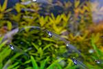 IMG 7619