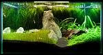 fluval23 blog7