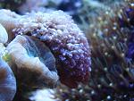IMG 4106