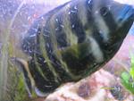 IMG 0017[1]