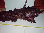 DSC00565