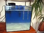 IMG 6268