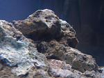 IMG 6313