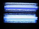IMG 6293