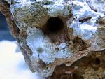 IMG 6377   