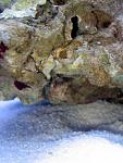 IMG 6353