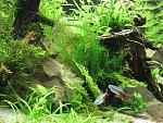 IMG 4878