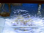 IMG 6306