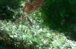 IMAG0523