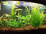 DSCF4750